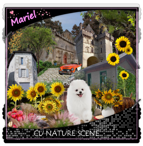 CU NATURE SCENE - Click Image to Close